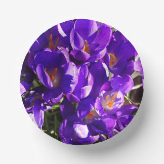 BOLS EN CARTON CROCUS DE PRINTEMPS