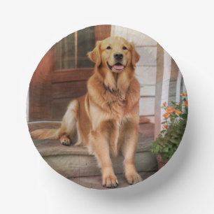 Bols En Carton Golden Retriever