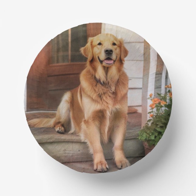Bols En Carton Golden Retriever (Recto)