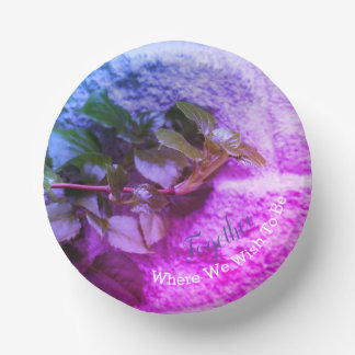 Bols En Carton Image du jardin