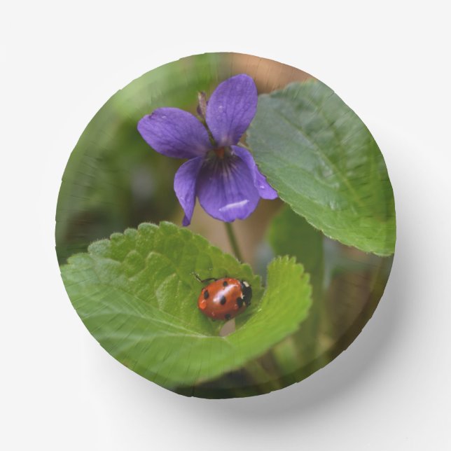 Bols En Carton Ladybug sur les fleurs de violet doux (Recto)