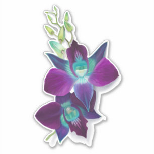 Bom bleu Dendrobium Orchid Sticker Kiss-cut