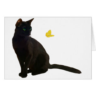 Bombay Cat & Papillon