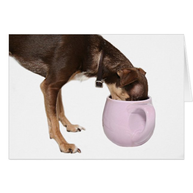 Bon à la dernière chute (Devant horizontal)