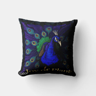 Bon coussin
