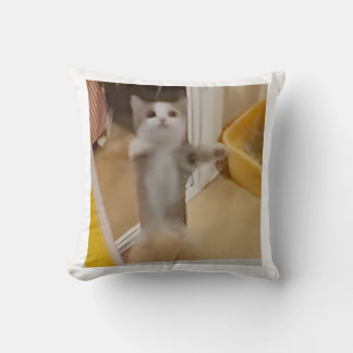 Bon Coussin de chats