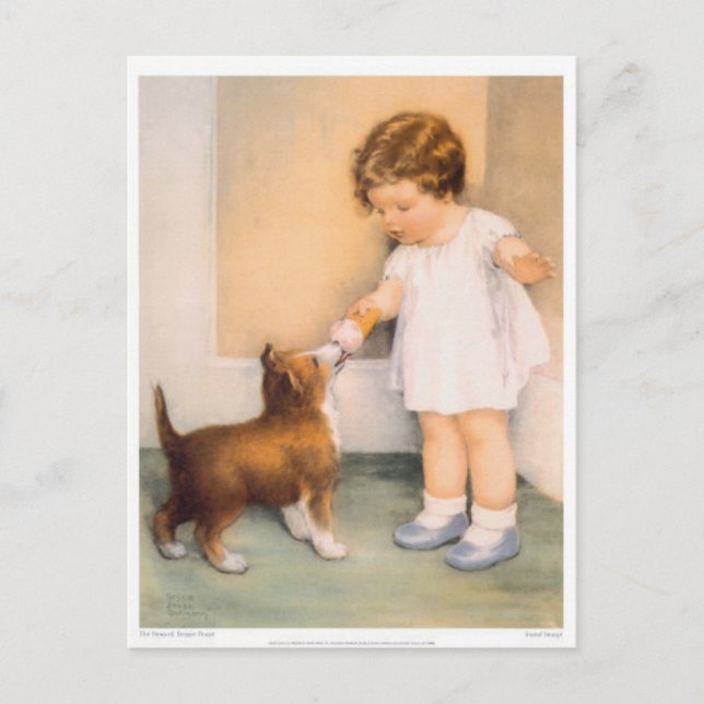 Bon Garçon ! Carte postale Collie Bordure (Devant)