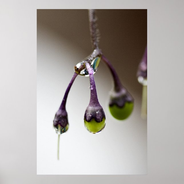 Bon Pour La Poster Dernière Drip (Devant)