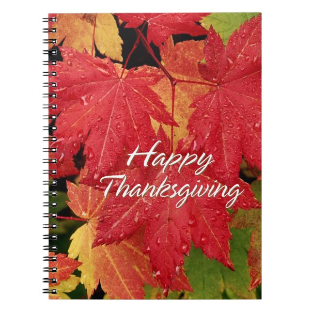 BON THANKSGIVING 8 CARNETS (Devant)
