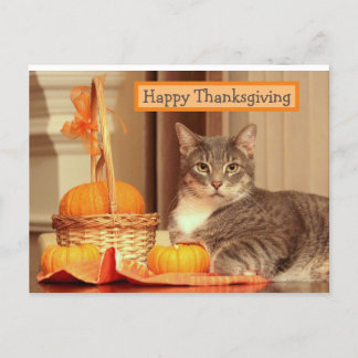 Bon thanksgiving avec carte de voeux pour chat