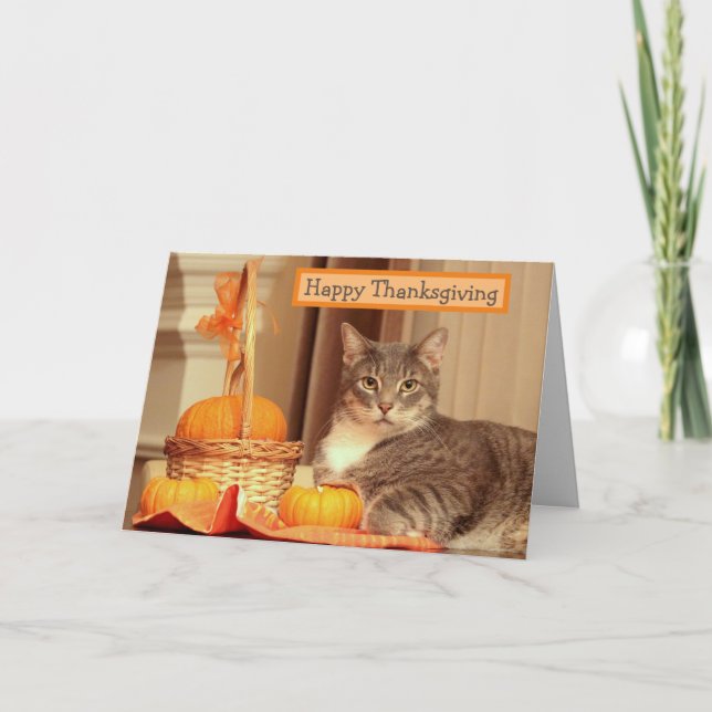 Bon thanksgiving avec carte de voeux pour chat (Devant)