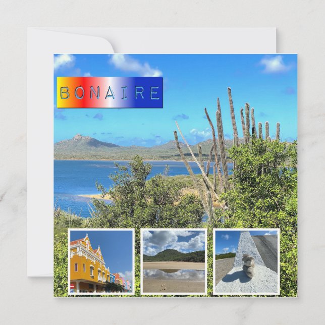 Bonaire Photo Collage carte à plat (Devant)
