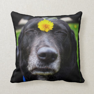 Bonbon d'équipe le coussin de chien de Meme