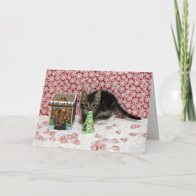 Bonbons Bandit Noël - Chat / Carte Kitten (Devant)
