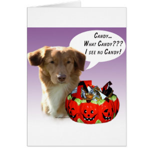 Bonbons d'Halloween de la Nouvelle-Écosse