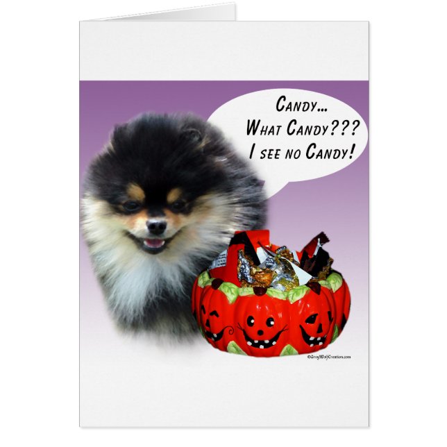 Bonbons d'Halloween de Poméranie (blktan) (Devant)