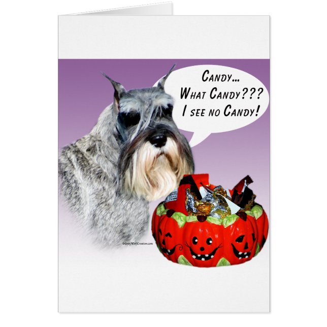 Bonbons d'Halloween Schnauzer Miniature (Devant)