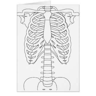 bone_01