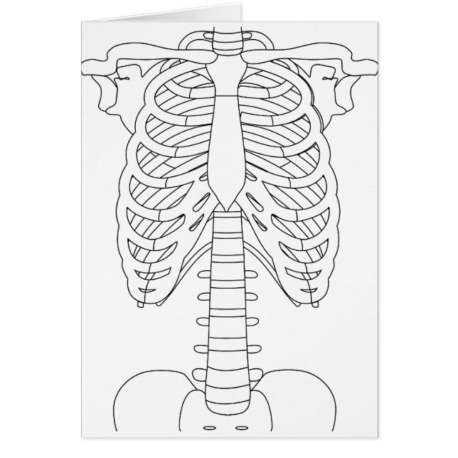 bone_01 (Devant)