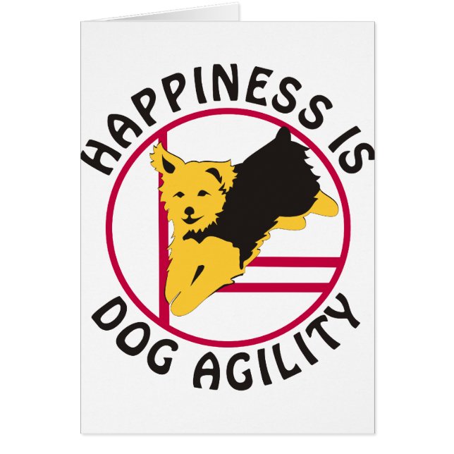 Bonheur d'agilité de Yorkie (Devant)