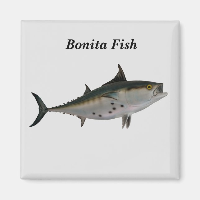 Bonita Fish Magnet (Devant)