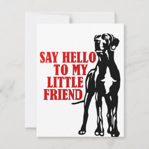 bonjour à mon petit ami