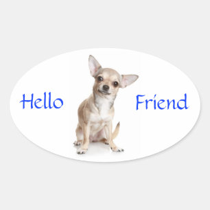 Bonjour ami Smiling Chihuahua Sticker
