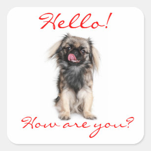 Bonjour Autocollant de salutation pour chiot Pékin