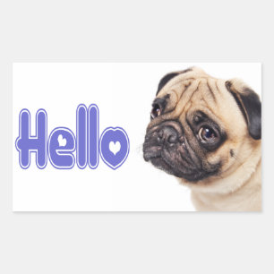 Bonjour Autocollant / Étiquette de Chien Toutou Pu