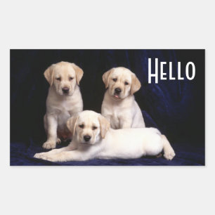 Bonjour Autocollants Chiens Chiots Labrador Retrie