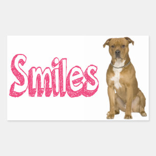 Bonjour Autocollants de chien American Staffordshi