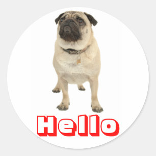 Bonjour Autocollants de chien chiot pug