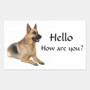 Bonjour Autocollants de salutation pour chiot berg