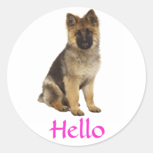 Bonjour Autocollants de salutation pour chiot berg