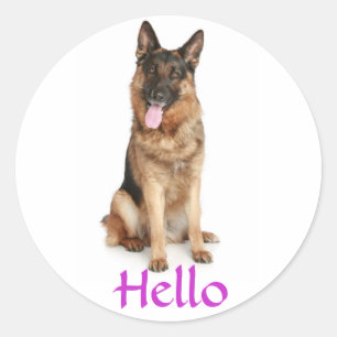 Bonjour Autocollants de salutation pour chiot berg