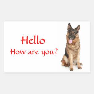 Bonjour Autocollants de salutation pour chiot berg