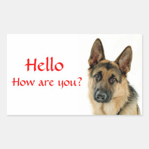 Bonjour Autocollants de salutation pour chiot berg