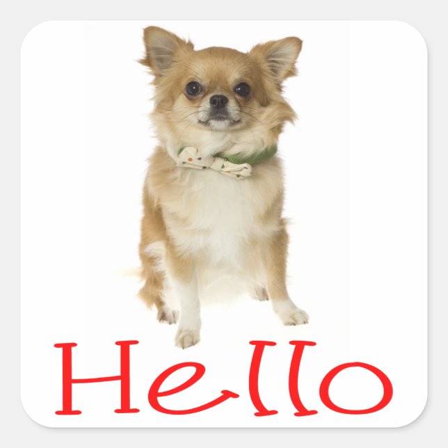 Bonjour Autocollants de salutation pour chiot Chih (Devant)