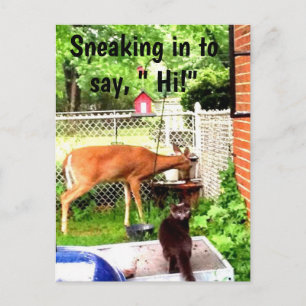 BONJOUR AVEC JARDIN ANIMAL carte postale