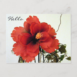 Bonjour, Bonjour/Toutes Occasions_ Carte postale