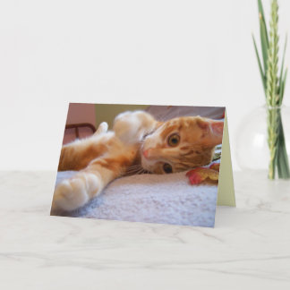 Bonjour carte