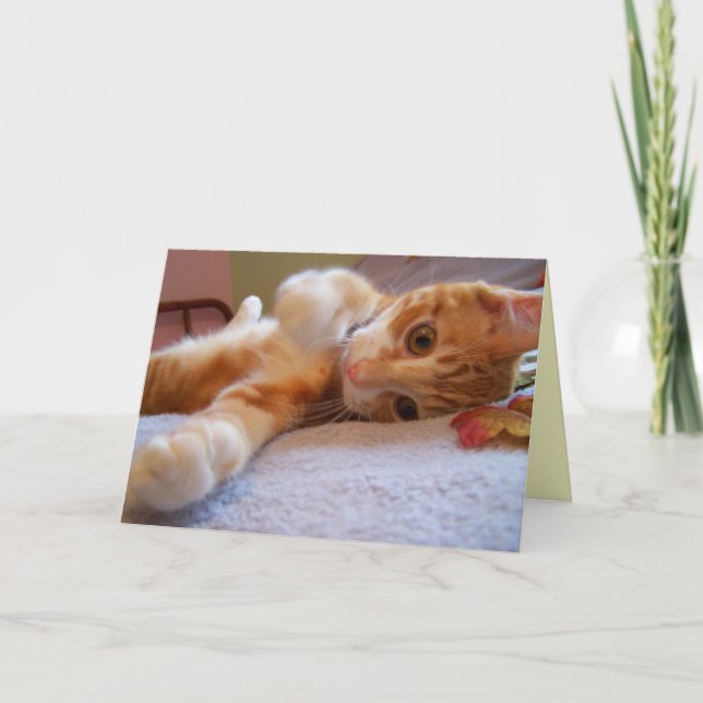Bonjour carte (Devant)