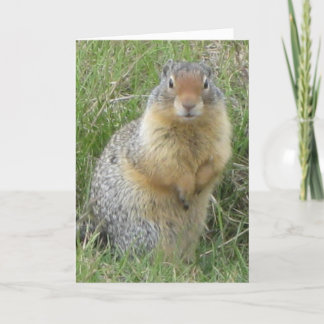 Bonjour carte de voeux