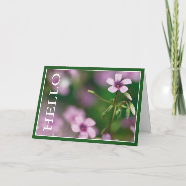Bonjour - carte de voeux rose d'oxalide blanche (Devant)