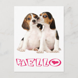 Bonjour Carte Postale de Chiots Beagle