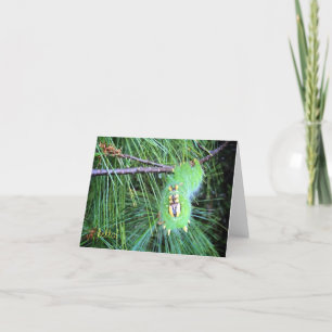 bonjour carte pour notes de chenille