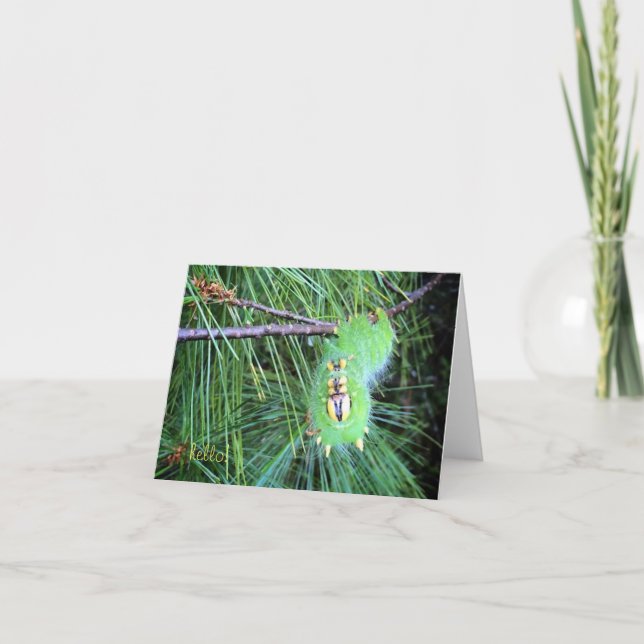 bonjour carte pour notes de chenille (Devant)