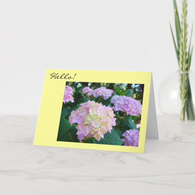 Bonjour ! Cartes de voeux Hope all is well You Fam (Devant)