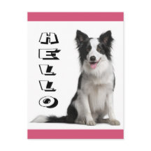 Bonjour chiot Border Collie carte postale