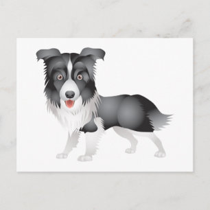 Bonjour chiot Border Collie Carte postale de vœux